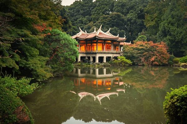  Shinjuku Gyoen National Garden