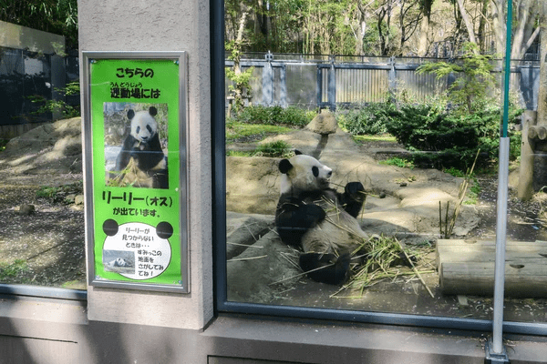 Ueno Park and Zoo