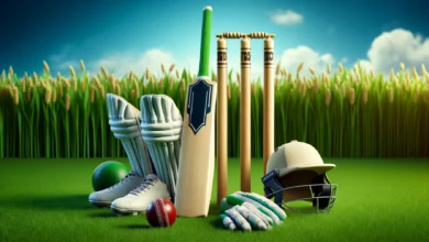 My Favourite Sport Cricket – A Guide for U.S. Travelers