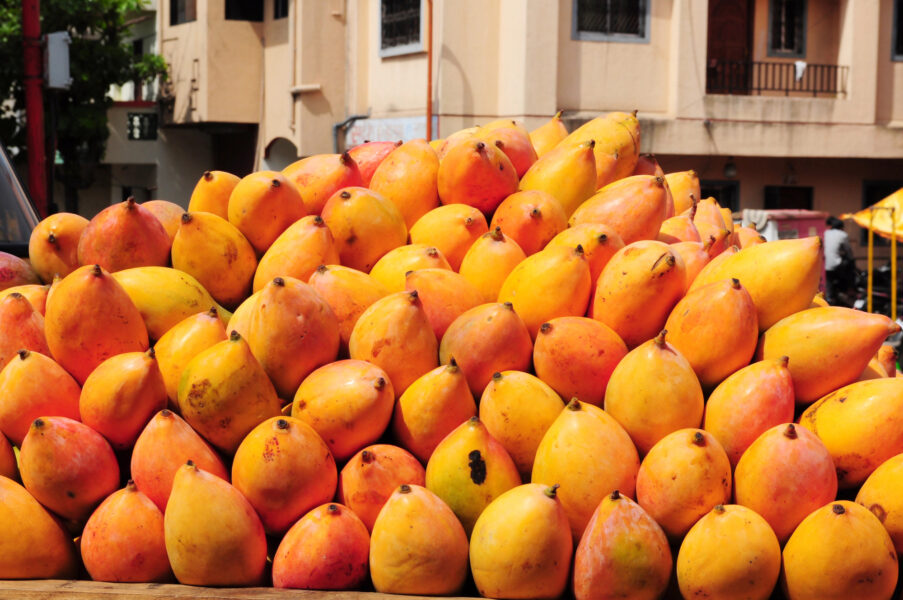 Mangos are the national fruit of India